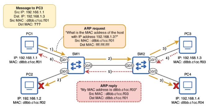 ARP Reply Process