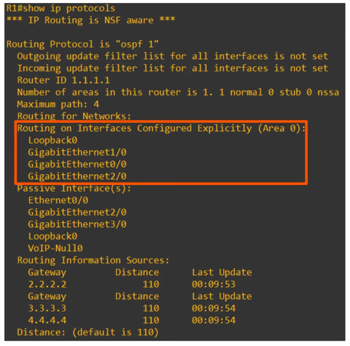 Show IP Protocols Output