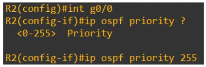 DR/BDR Election Process